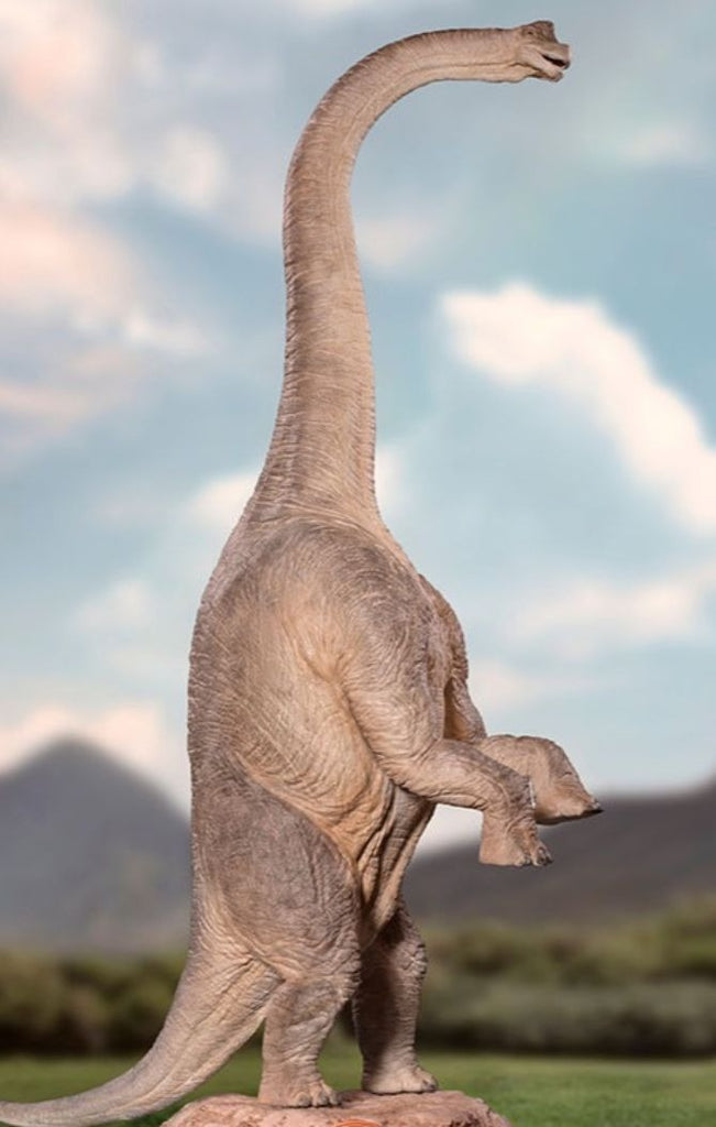 Brachiosaurus - Jurassic Park - Demi Scale 1/20 - Iron Studios
