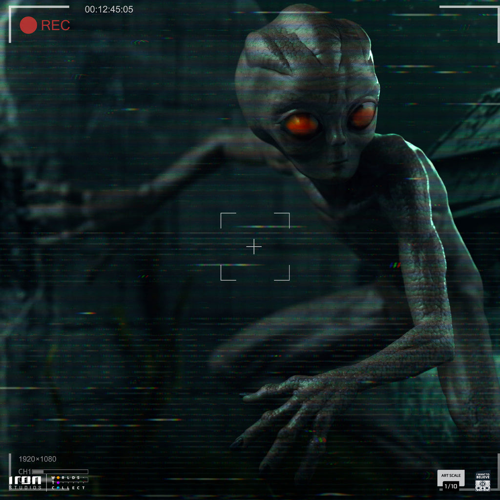 Digital Pre-Order - Statue ET Varginha - I Want to Believe - Art Scale 1/10 - Iron Studios