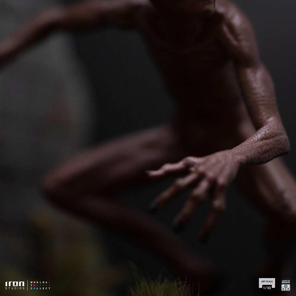 Digital Pre-Order - Statue ET Varginha - I Want to Believe - Art Scale 1/10 - Iron Studios