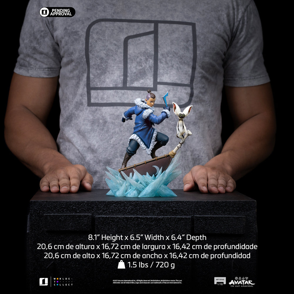 Digital Pre-Order - Statue Sokka - Avatar: The Last Airbender - Art Scale 1/10 - Iron Studios