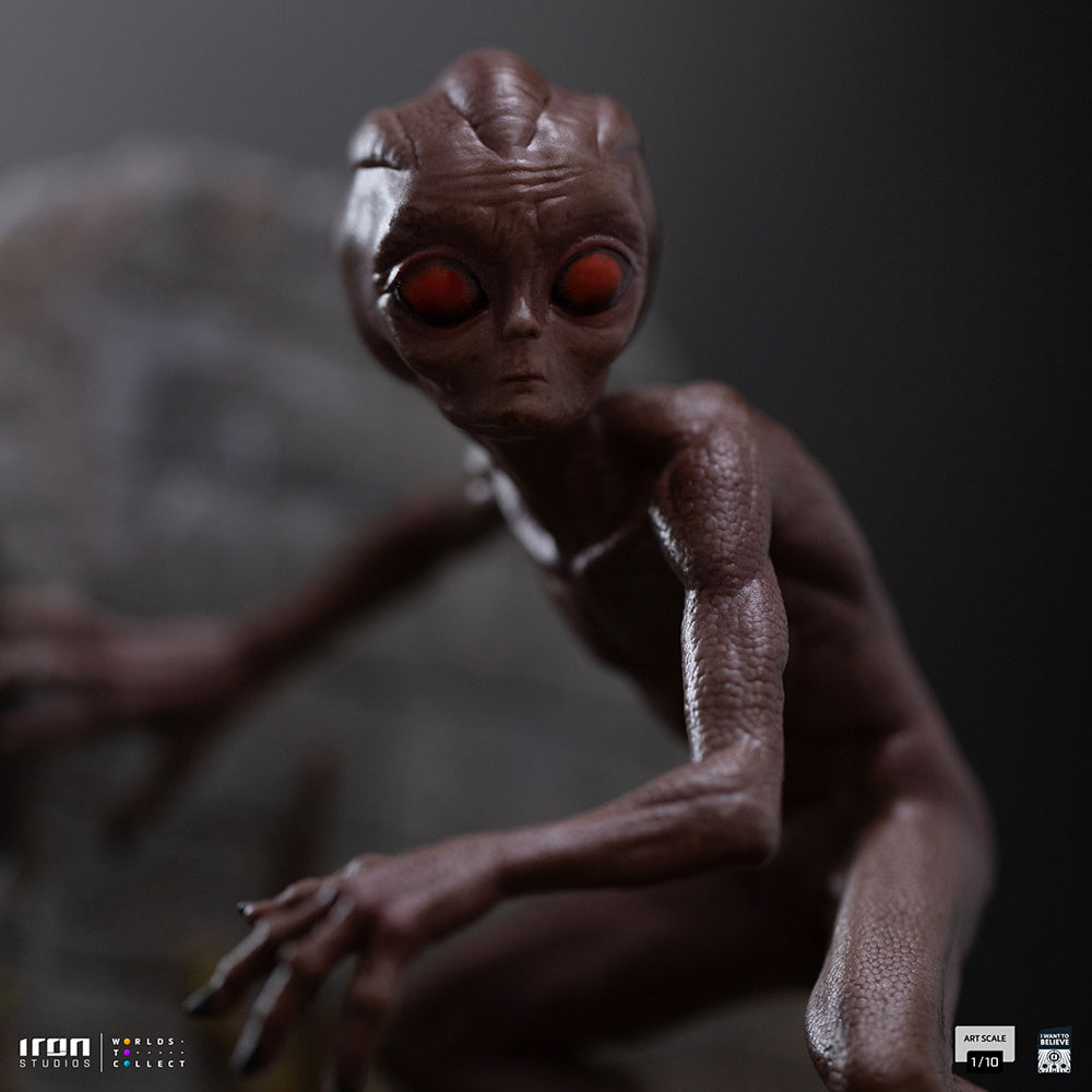 Digital Pre-Order - Statue ET Varginha - I Want to Believe - Art Scale 1/10 - Iron Studios